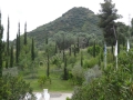Monte Cronos