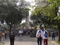 Santuario de Gea